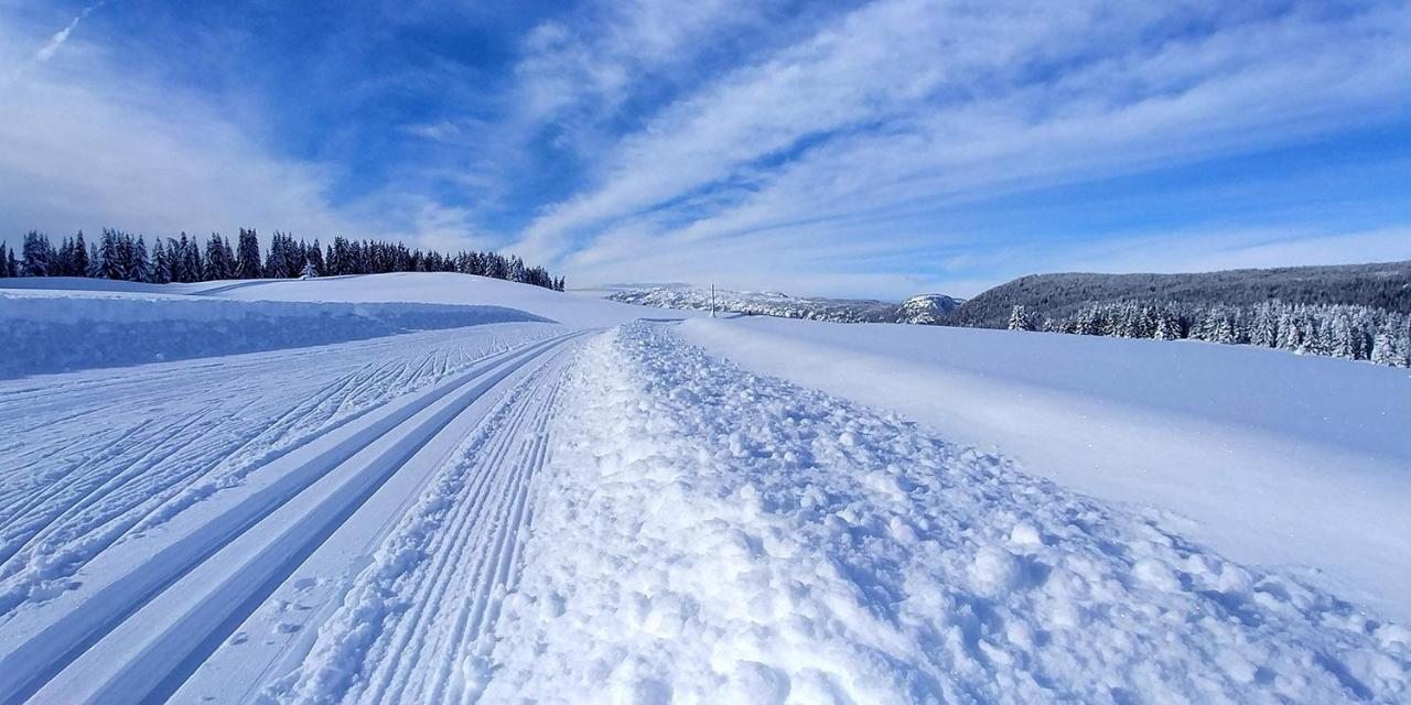 Gite Les Lanfiannes Thorens-Glieres ภายนอก รูปภาพ