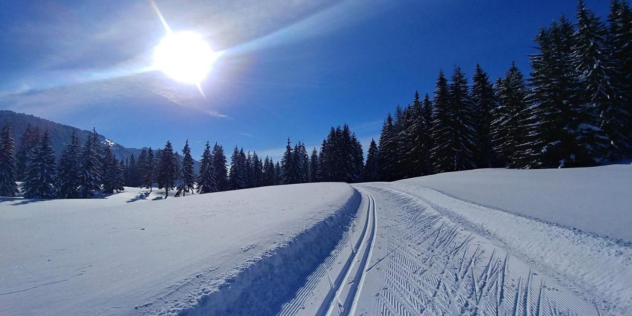 Gite Les Lanfiannes Thorens-Glieres ภายนอก รูปภาพ